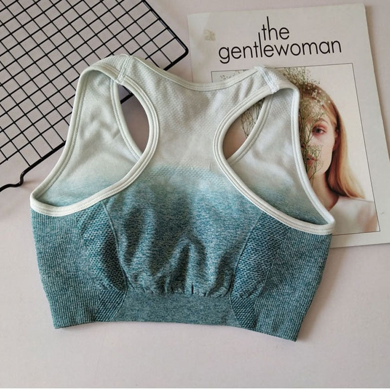 Ombre Seamless Sports Bra Push Up Gym Women Girls Fitness Bra Padded Energy Seamless Crop Top Femme Shark Yoga Bra Tops